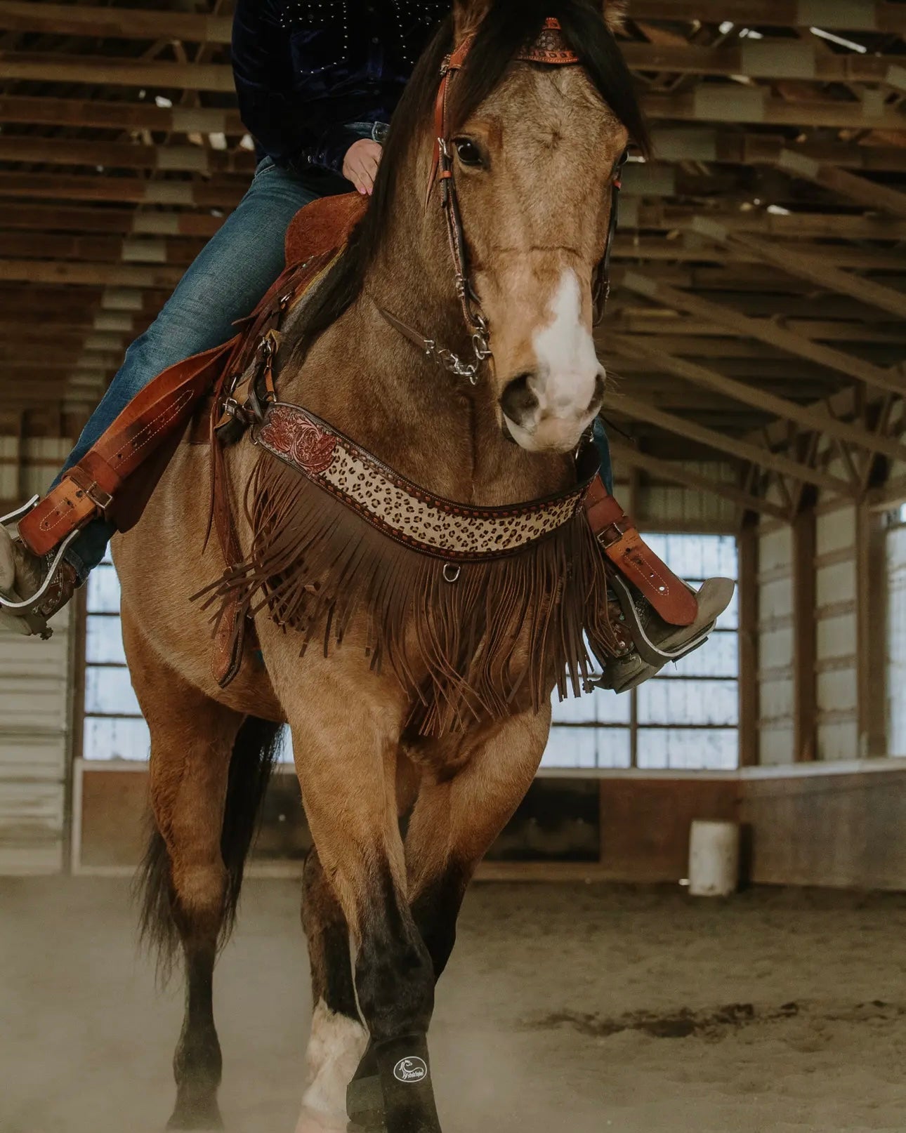 Wild Child Leopard Tripping collar